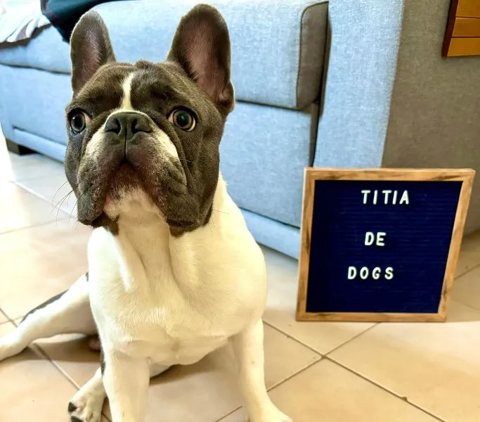 titia-de-dogs-bowie