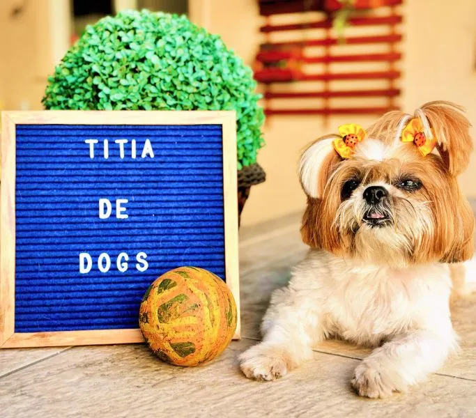 titia-de-dogs-cacau
