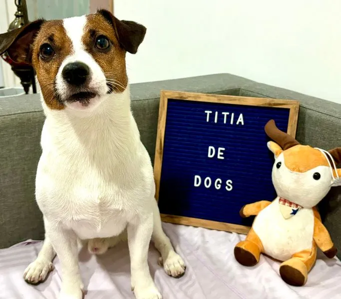 titia-de-dogs-chay