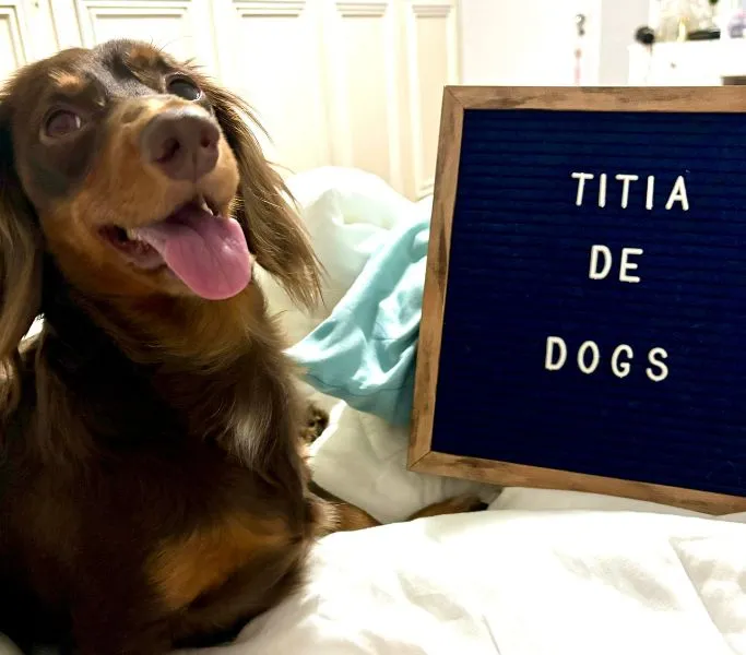 titia-de-dogs-chico